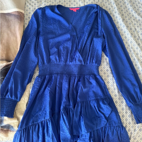 NWOT Lilly Pulitzer Cristiana Long Sleeve Dress - Ikat Blue Leopard Size 14 - Picture 3 of 7